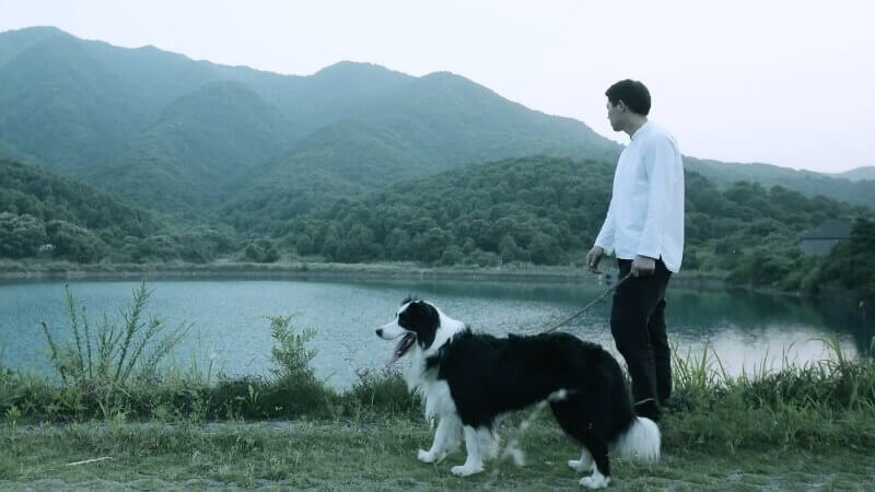 知了木作匠心創(chuàng)意廣告